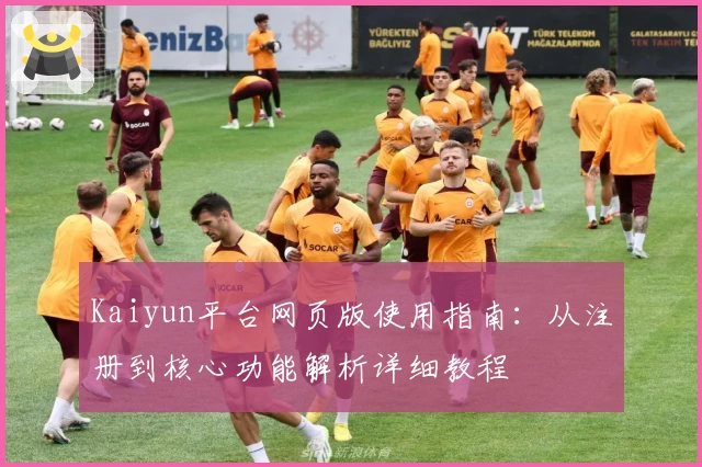 Kaiyun平台网页版使用指南：从注册到核心功能解析详细教程